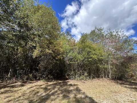 15 Ac+/- Lacey Lane, Crestview, FL 32536