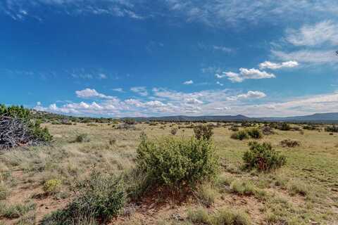 1869 Deer Canyon Trail, Mountainair, NM 87036