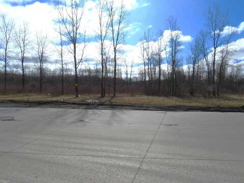 Vacant Gratiot, New Haven, MI 48048