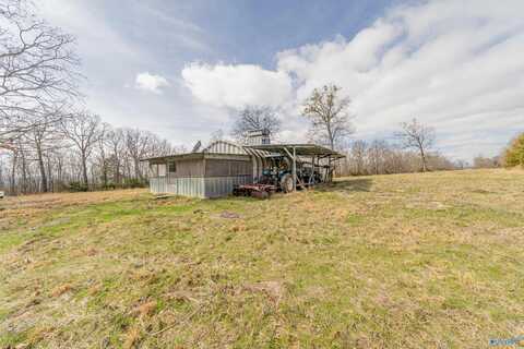 265 Acres Off Mountain Fork Road, New Market, AL 35761