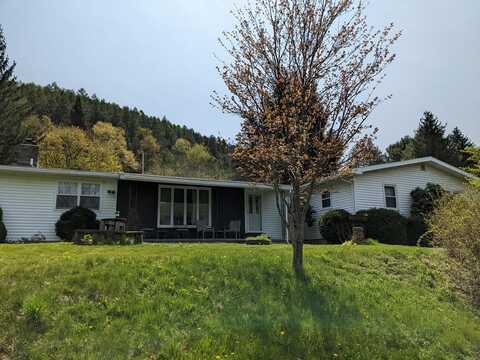 105 Buffalo Rd. Rt. 872, Coudersport, PA 16915