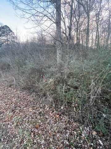 00 Hidden Ridge Loop, Dunlap, TN 37327