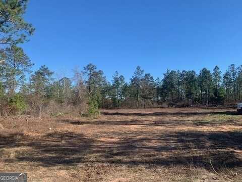 0 Buena Vista Highway, Mauk, GA 31058