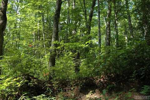 Lot 16 Zeb Alley Road, Cashiers, NC 28717