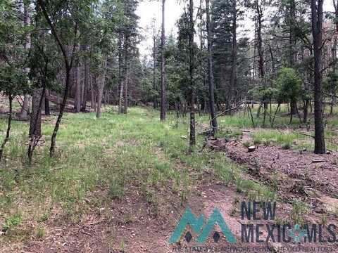 Lot 101 Camino Facil, Rociada, NM 87742