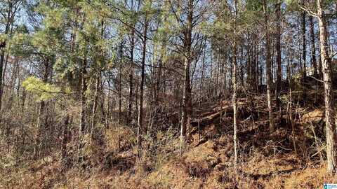 5010 CREEK BLUFF, Mc Calla, AL 35111