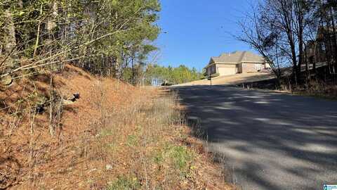 5010 CREEK BLUFF, Mc Calla, AL 35111