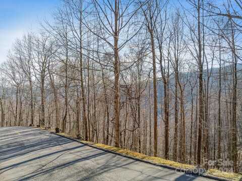 99999 Winding Poplar Road, Black Mountain, NC 28711