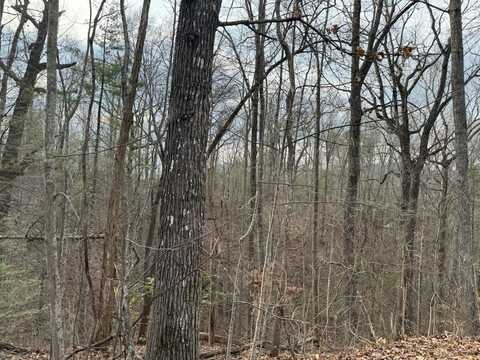 Lot 1 Blue Springs Way, Sevierville, TN 37862