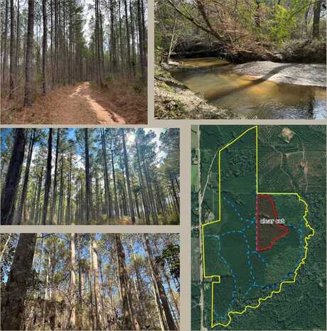 0 hwy 13/percy bates, Oak Vale, MS 39656