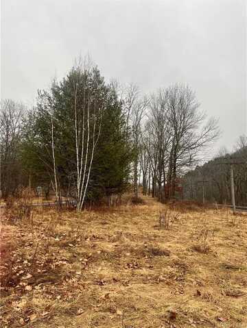 Tr40, Fremont Center, NY 12760