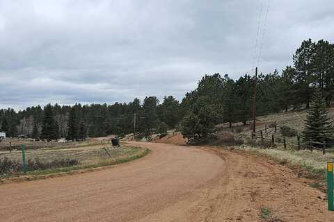 Bison Creek, DIVIDE, CO 80814