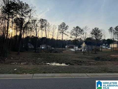 109 HEIGHTS WAY, PELL CITY, AL 35125