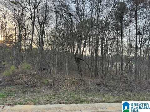 107 HEIGHTS WAY, PELL CITY, AL 35125