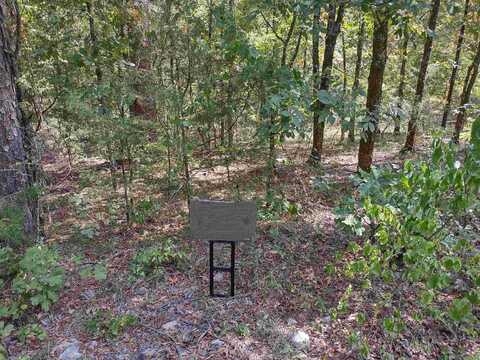 39 Irun Way, Hot Springs Village, AR 71909