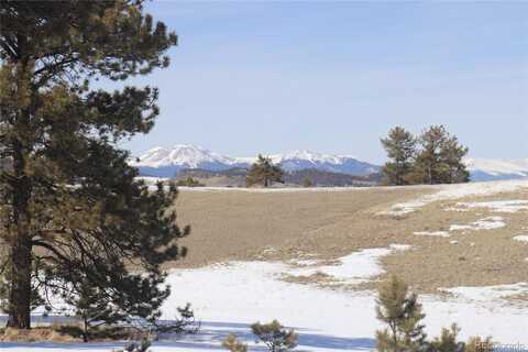 517 Brahma Circle, Hartsel, CO 80449