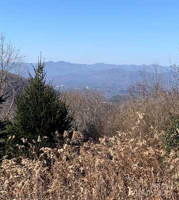 9999 Ebby Ridge Drive unit: 340, Fairview, NC 28730