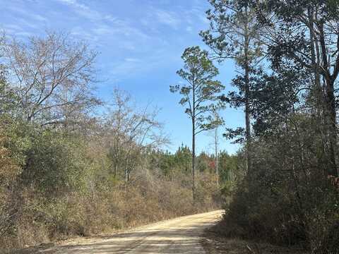 Tract 6317 S Harris Stevenson Road, Bonifay, FL 32425