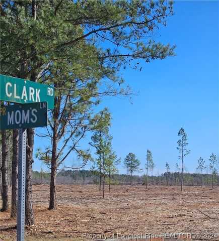 Tract 10 Clark Road, Maxton, NC 28364