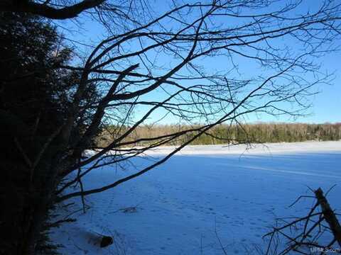 TBD W Duck Lake Road, Watersmeet, MI 49969