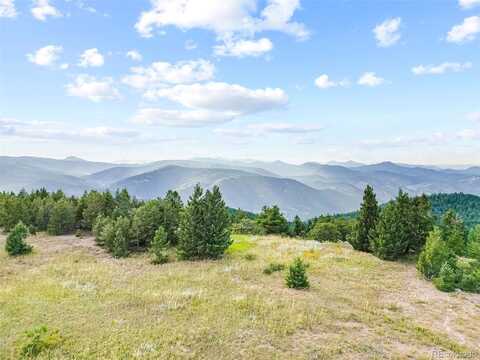 11917 Flat Top Trail, Littleton, CO 80127