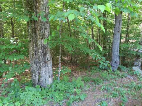 Lots 134-135 Wendy Drive, Alton, NH 03810