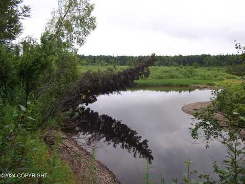 000 No Road Alexander Creek, Skwentna, AK 99688