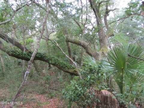 8 Leopard Frog Court, Bald Head Island, NC 28461