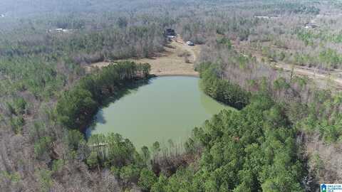 10715 SHOAL CREEK ROAD, ASHVILLE, AL 35953