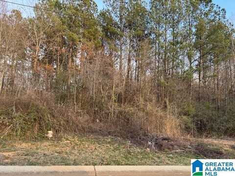 110 HEIGHTS WAY, PELL CITY, AL 35125