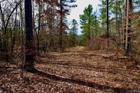 TBD Old River Rd, Pangburn, AR 72121