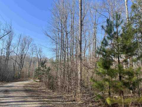 35 Torpedo Ct (Lot 119), Cedar Grove, TN 38321