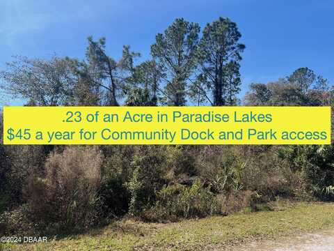 315 Redwood Boulevard, Georgetown, FL 32139