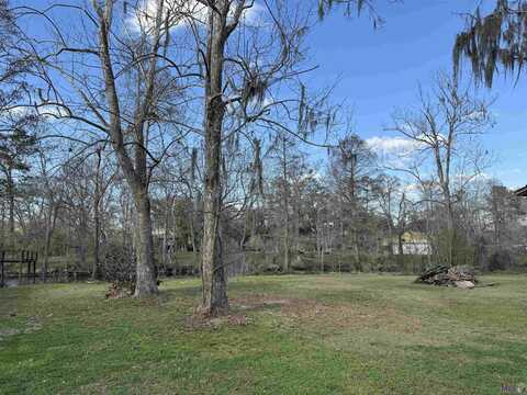 tbd MANCHAC POINT RD, Prairieville, LA 70769