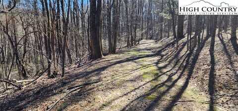 Tbd Parkway Estates Road, Laurel Springs, NC 28644