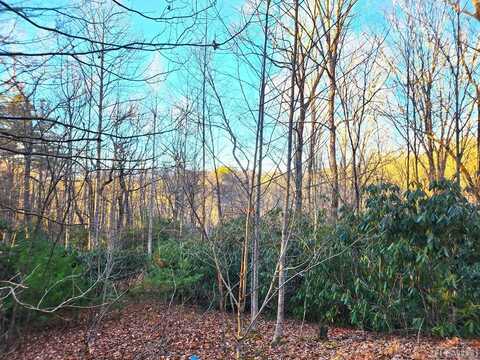 0 Campbell Drive, Pisgah Forest, NC 28768
