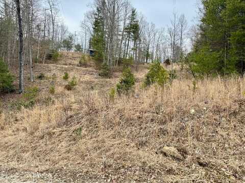 Lot#2 Peaceful Valley Rec Retreat, Beattyville, KY 41311