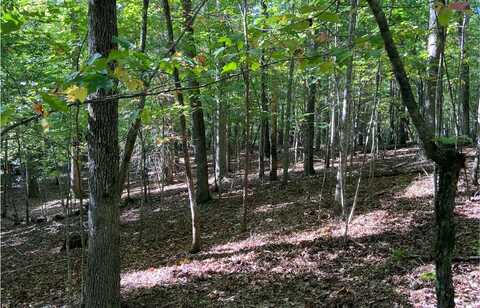 Lot 41 Ridge Drive, Morganton, GA 30560