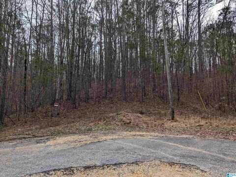 Lot 2 HENDERSON ROAD, ODENVILLE, AL 35120