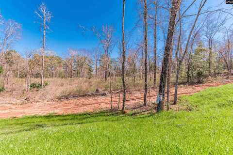 0 Lands End Lane, Prosperity, SC 29127