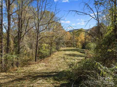 Tbd Fresh Water Road, Leicester, NC 28748