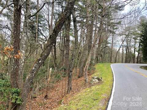 1036 Indian Cave Road, Hendersonville, NC 28739