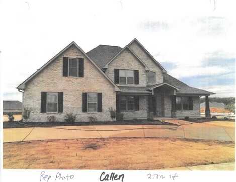 246 Providence, Medina, TN 38355