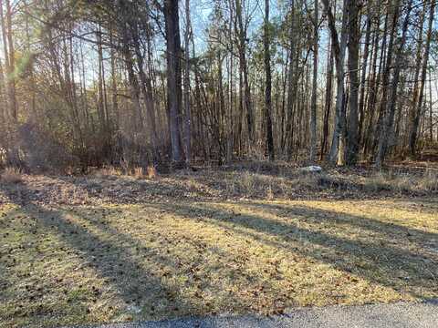 1071 POINTE PLEASANT Road, Lincolnton, GA 30817