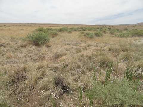 Canyon, Canoncito, NM 87026