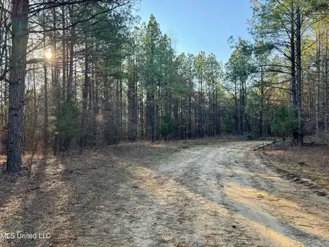 Cr 54, Carrollton, MS 38917