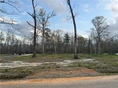 27498 TRACT 1-A E SHADOW LAKE Drive, Holden, LA 70744