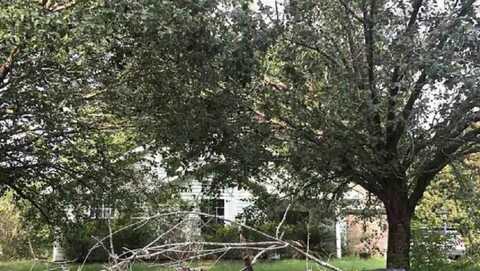 Augusta, EIGHT MILE, AL 36613