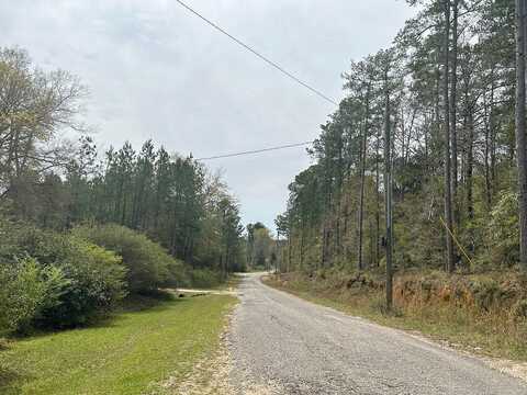 L G Collins, STATE LINE, MS 39362