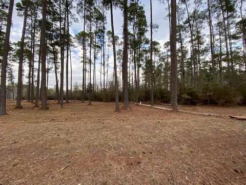 00 Fairway Drive, Hampton, SC 29924